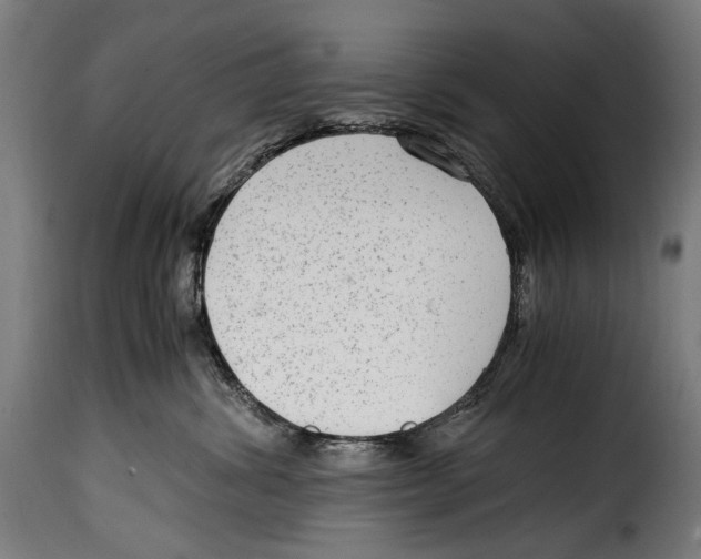 X0000115020428200911231254