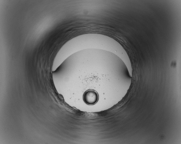 X0000115020429200911231254