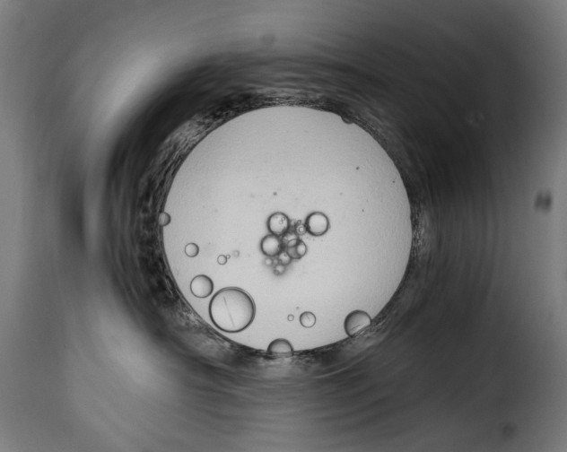 X0000115020430200911231254