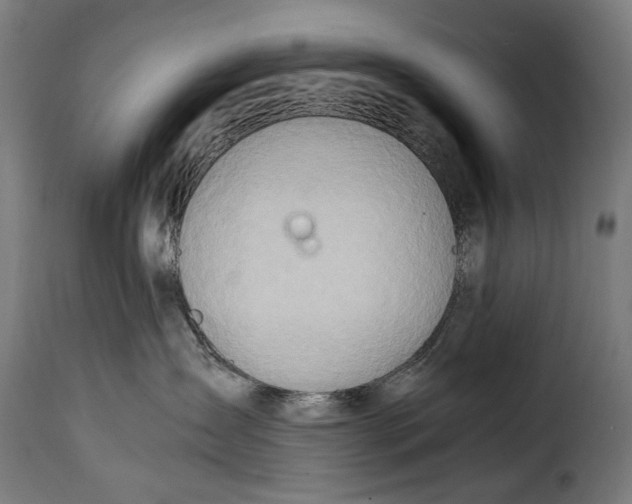 X0000115020431200911231254