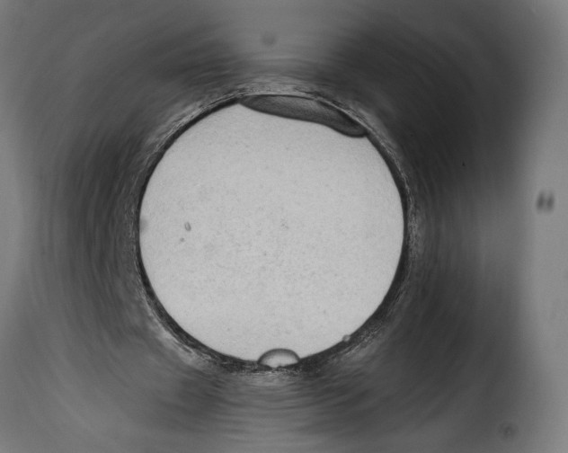 X0000115020433200911231254