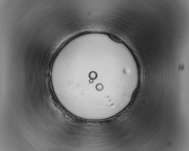 X0000115020434200911231254