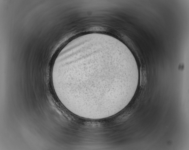 X0000115020435200911231254