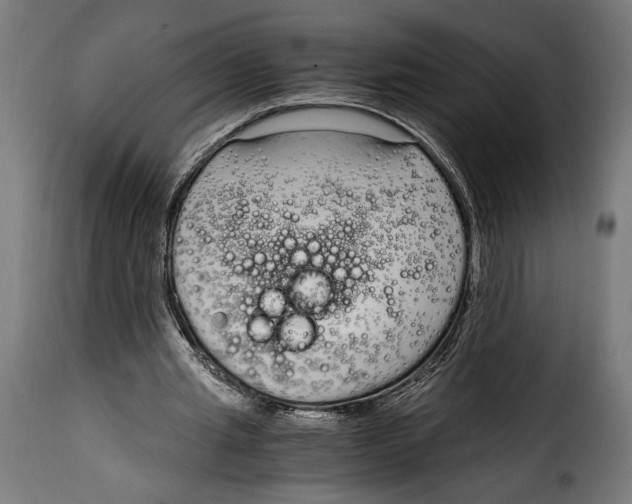 X0000115020437200911231254