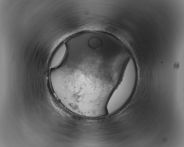 X0000115020438200911231254