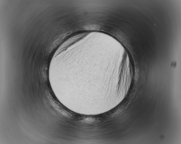 X0000115020441200911231254