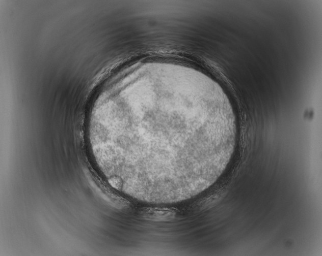 X0000115020443200911231254