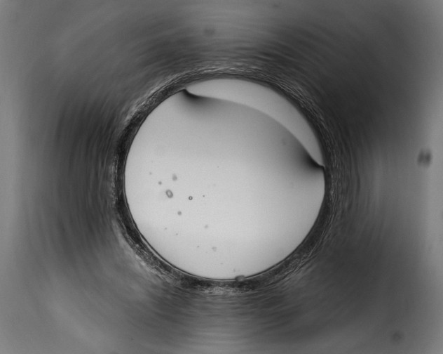 X0000115020444200911231254