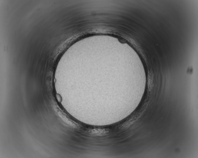 X0000115020445200911231254