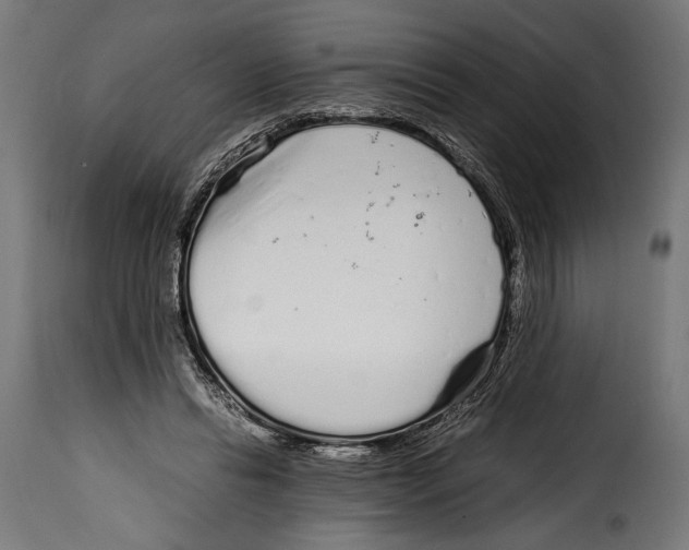 X0000115020446200911231254