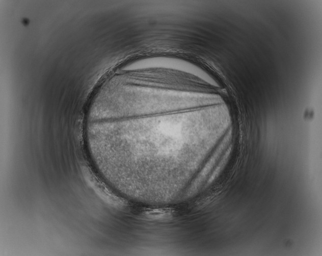 X0000115020447200911231254