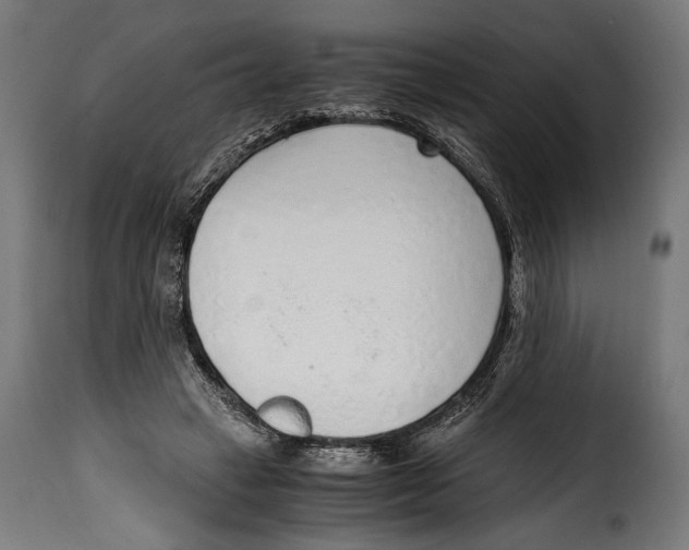 X0000115020449200911231254