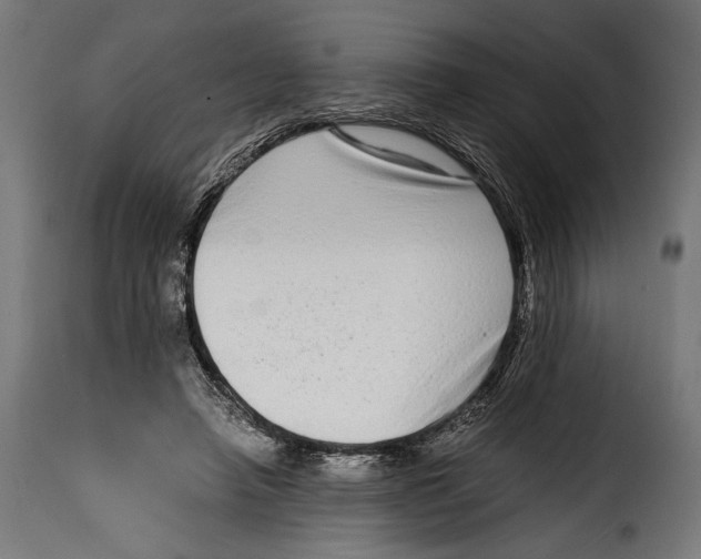 X0000115020450200911231254