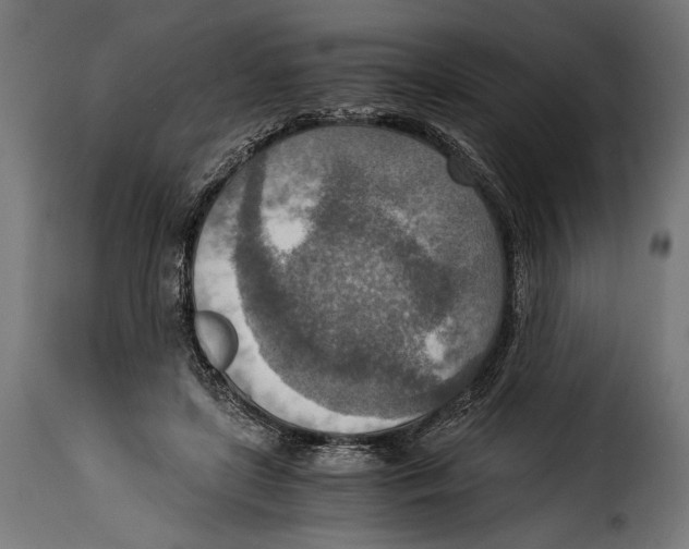 X0000115020451200911231254