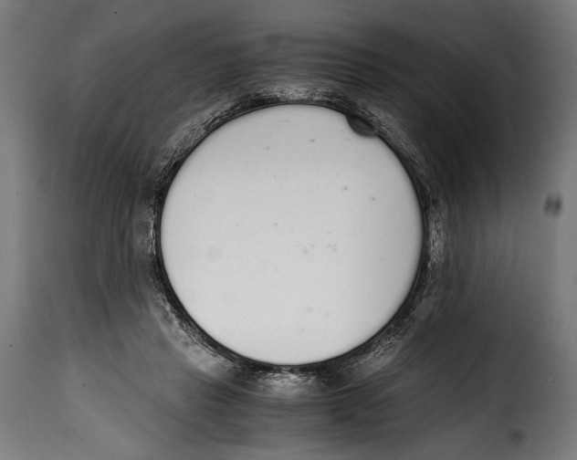 X0000115020453200911231254