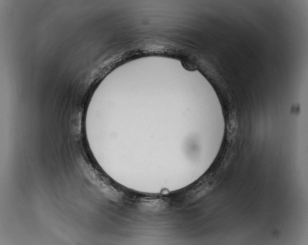 X0000115020454200911231254