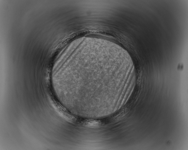 X0000115020456200911231254