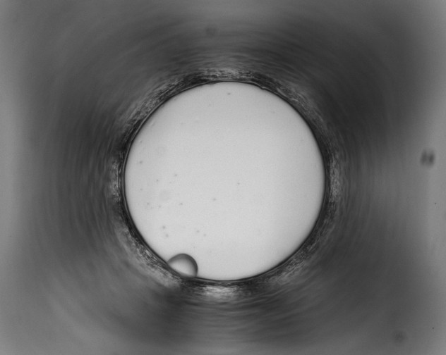 X0000115020457200911231254