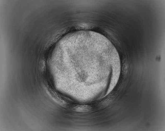 X0000115020459200911231254