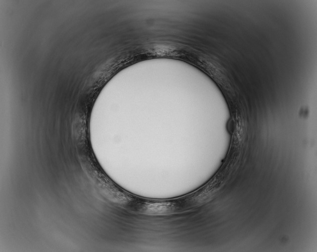 X0000115020461200911231254