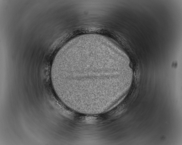 X0000115020462200911231254