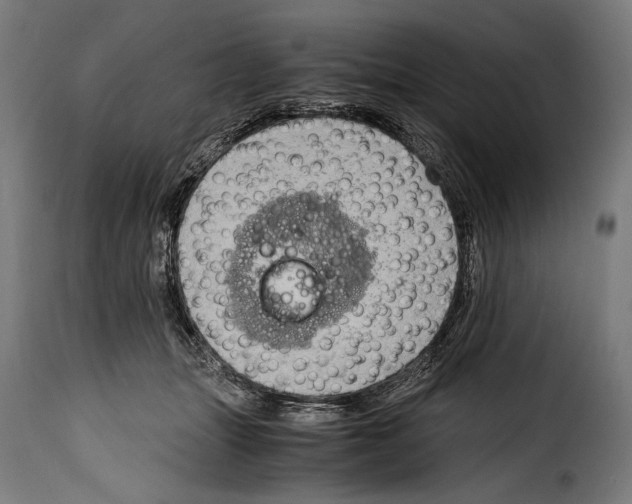 X0000115020463200911231254