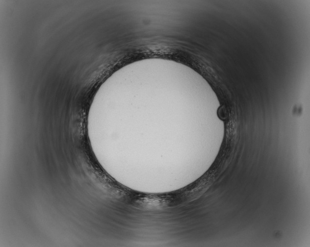 X0000115020464200911231254