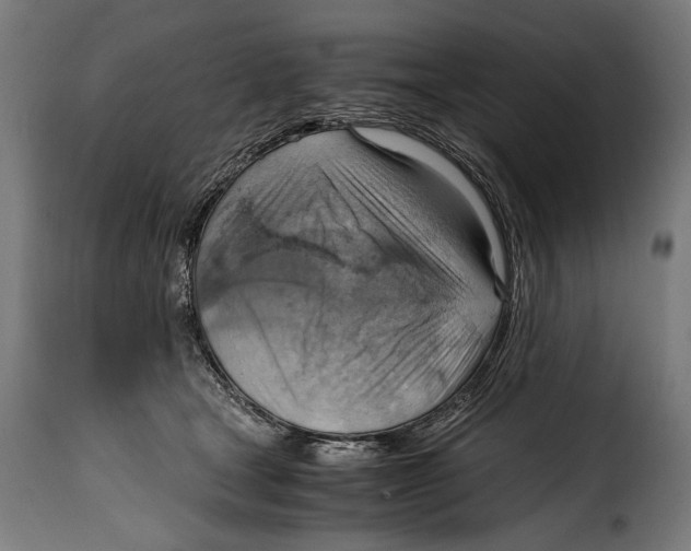 X0000115020465200911231254