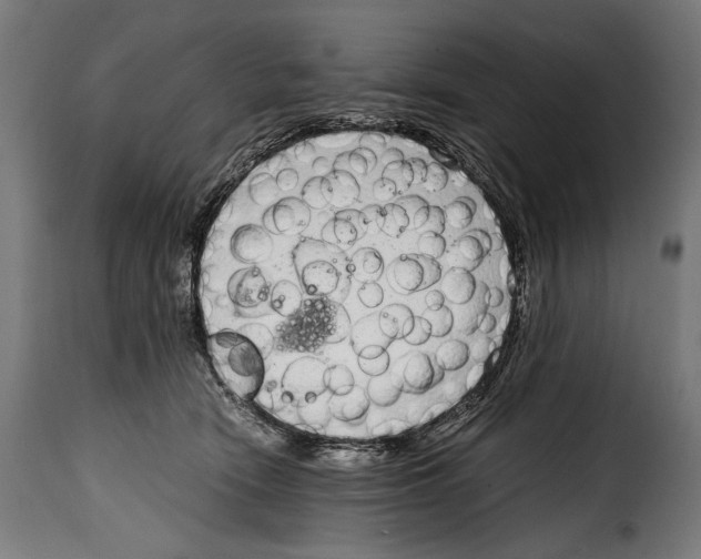 X0000115020466200911231254