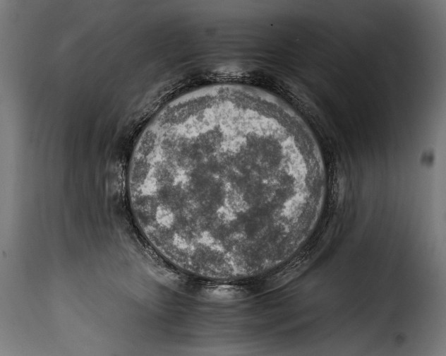 X0000115020467200911231254