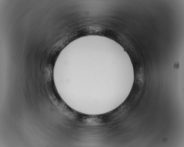 X0000115020468200911231254