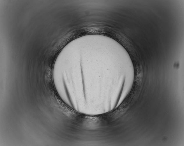 X0000115020469200911231254