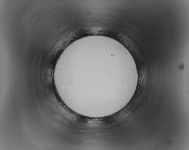 X0000115020470200911231254