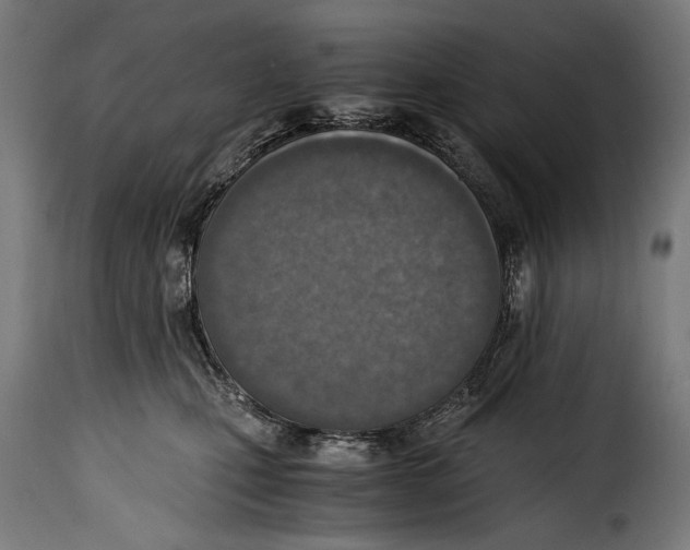 X0000115020471200911231254