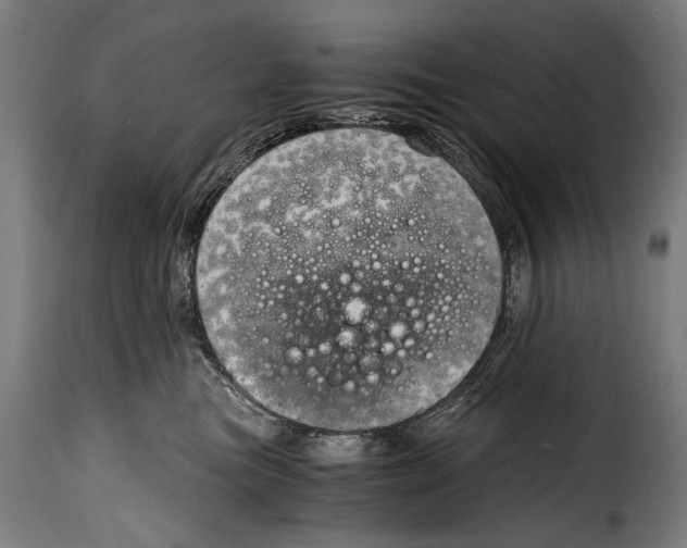 X0000115020473200911231254