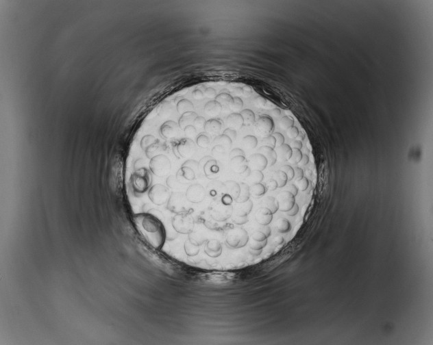 X0000115020474200911231254