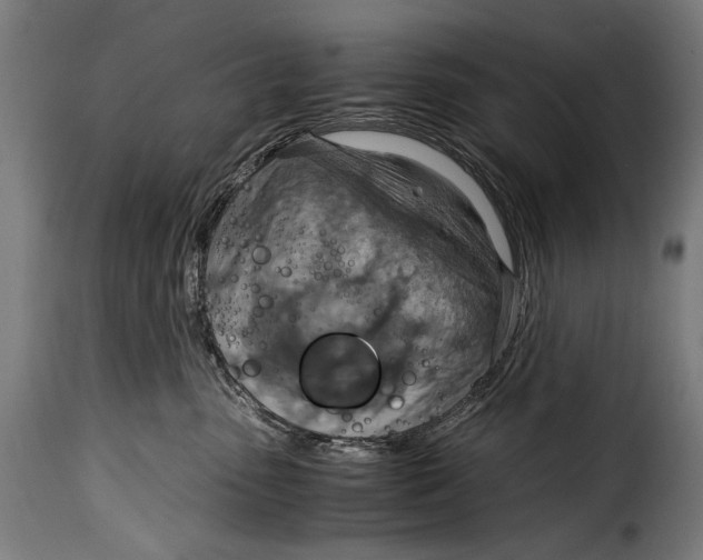 X0000115020475200911231254