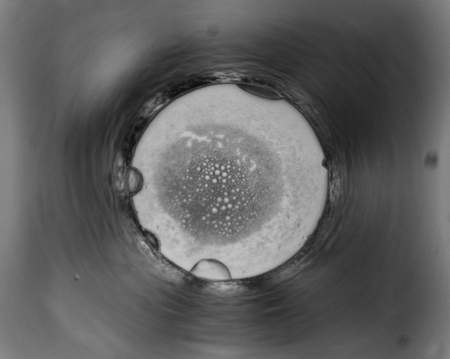 X0000115020477200911231254