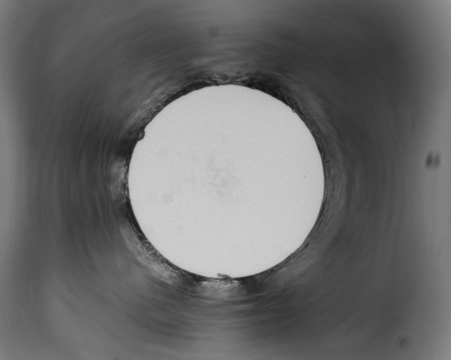 X0000115020480200911231254