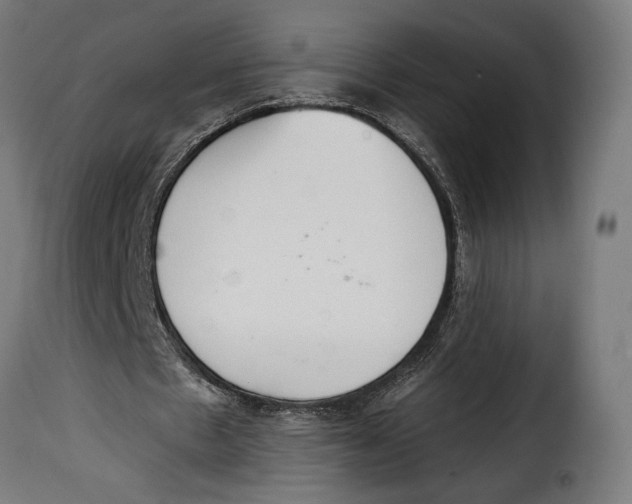 X0000115020481200911231254