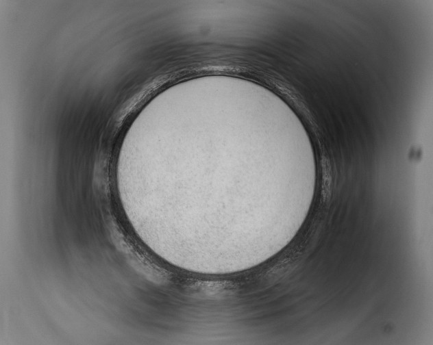 X0000115020482200911231254