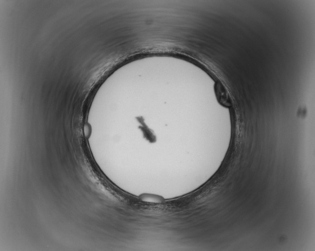 X0000115020485200911231254