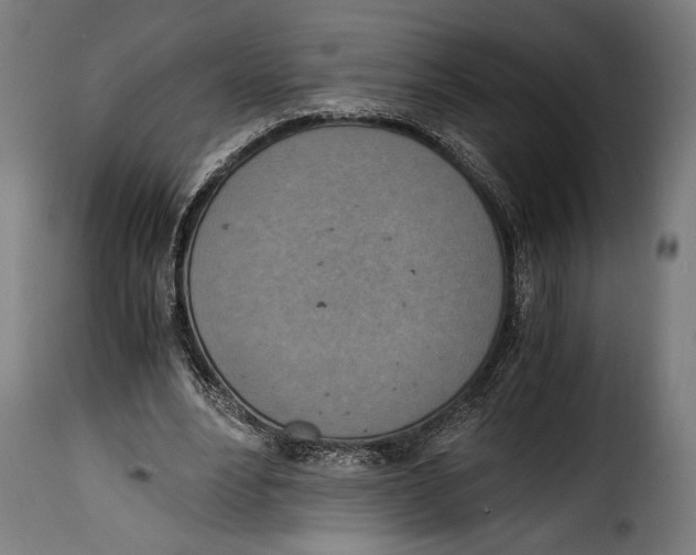 X0000115020488200911231254