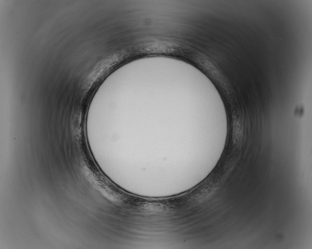 X0000115020490200911231254