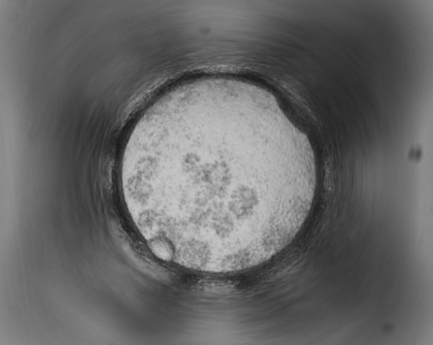 X0000115020491200911231254