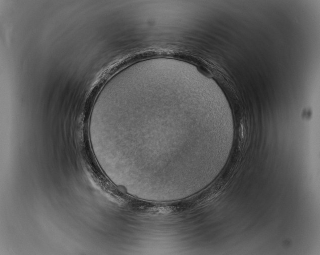 X0000115020492200911231254