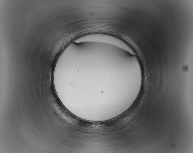 X0000115020493200911231254