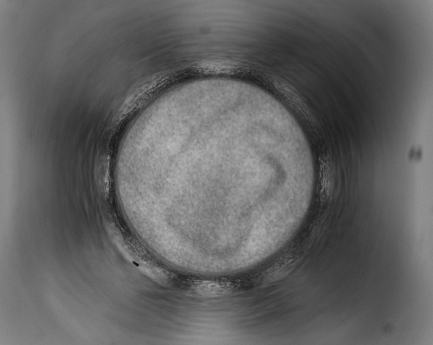 X0000115020494200911231254