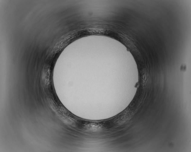 X0000115020498200911231254