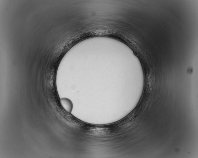 X0000115020499200911231254